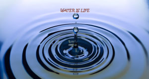 water is life understand its importance
